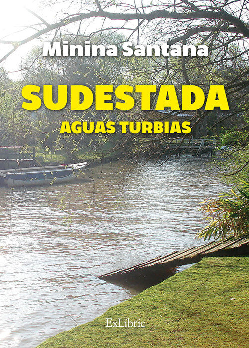 SUDESTADA AGUAS TURBIAS