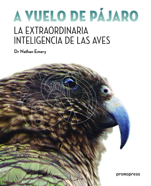 A VUELO DE PAJARO