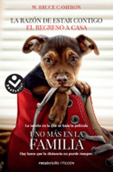 RAZON DE ESTAR CONTIGO. EL REGRESO A CASA