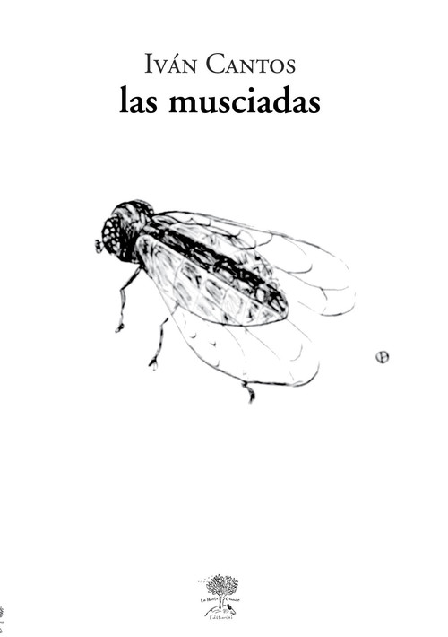 MAESTRO DE LA SOLEDAD, EL