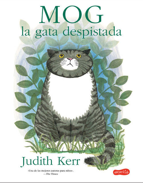 MOG, LA GATA DESPISTADA