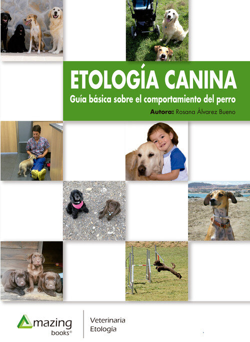 ETOLOGIA FELINA