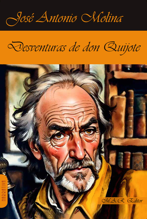 DESVENTURAS DE DON QUIJOTE