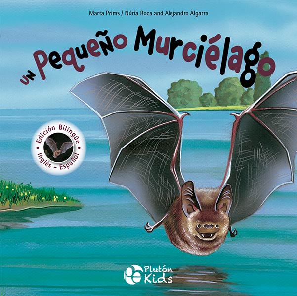 UN PEQUEO MURCIELAGO