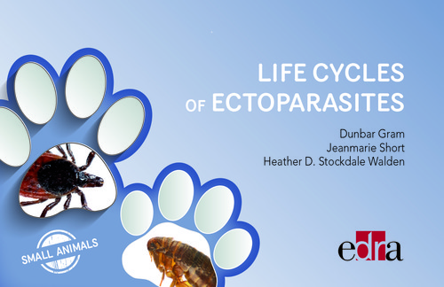 LIFE CYCLES OF ECTOPARASITES IN SMALL ANIMALS