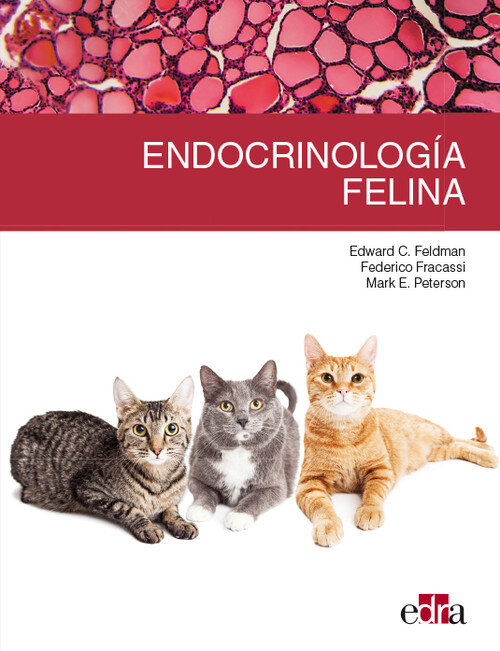 ENDOCRINOLOGIA FELINA