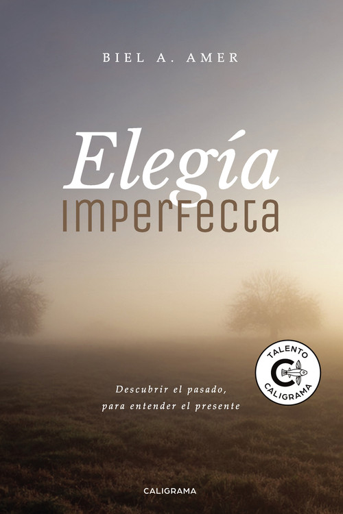 ELEGIA IMPERFECTA