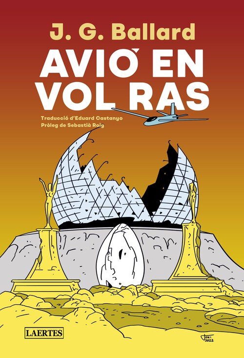 AVIO EN VOL RAS