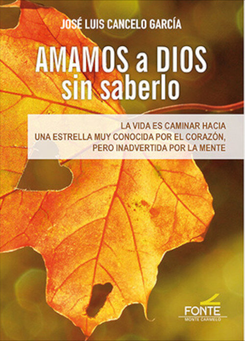AMAMOS A DIOS SIN SABERLO. LA VIDA ES CAMINAR HACIA UNA EST