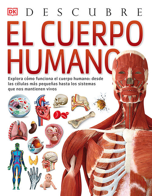 CUERPO HUMANO,EL. DESCUBRE