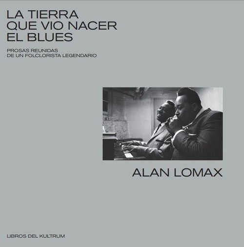 TIERRA QUE VIO NACER EL BLUES, LA