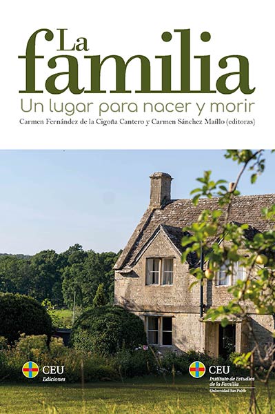 SUSTRACCION INTERNACIONAL DE MENORES, LA