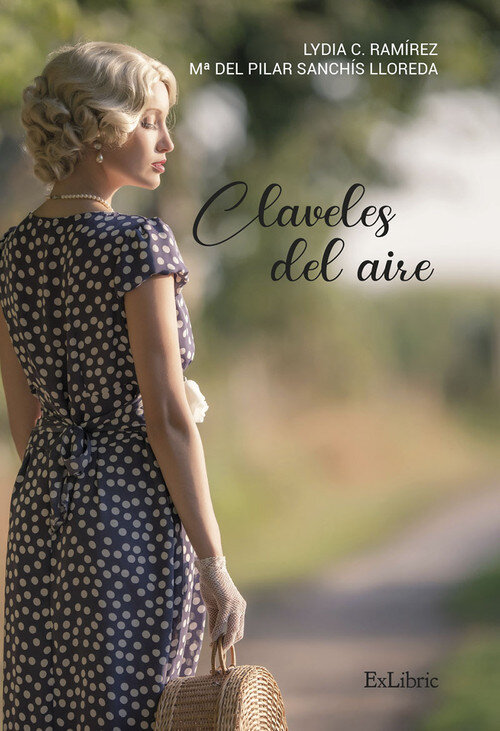 CLAVELES DEL AIRE
