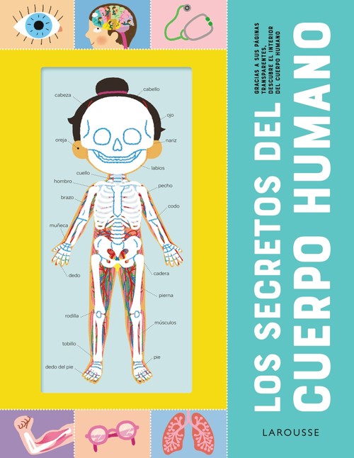 SECRETOS DEL CUERPO HUMANO, LOS
