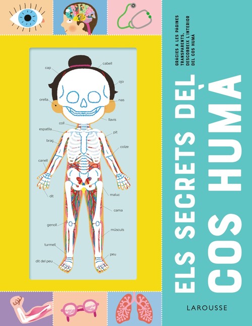 SECRETS DEL COS HUMA, ELS