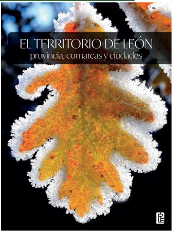 TERRITORIO DE LEON: PROVINCIA, COMARCAS Y CIUDADES