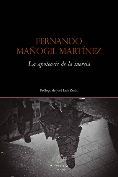 BAJO LOS PIES DE LA LLUVIA