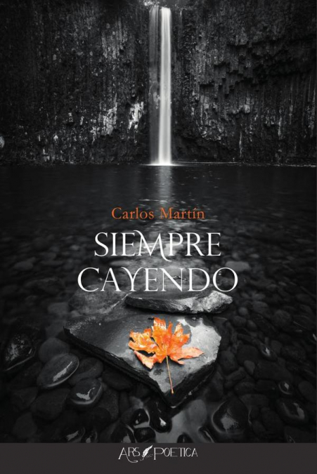 SIEMPRE CAYENDO