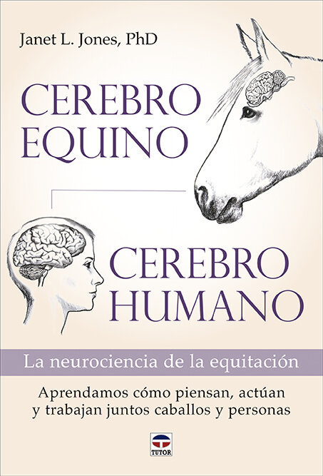 CEREBRO EQUINO CEREBRO HUMANO