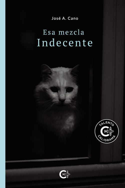 ESA MEZCLA INDECENTE