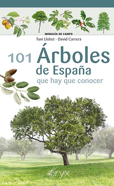 101 ARBOLES DE ESPA�A