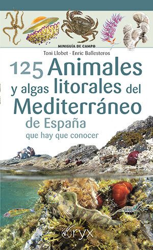 125 ANIMALES Y ALGAS LITORALES DEL MEDITERRANEO DE ESPA�A QU