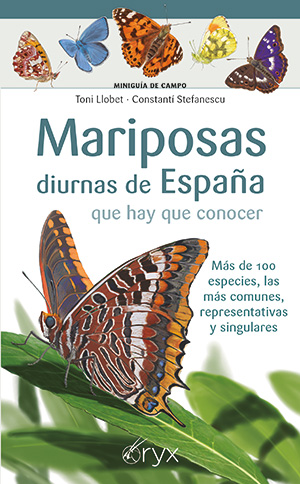 MARIPOSAS DIURNAS DE ESPA�A QUE HAY QUE CONOCER