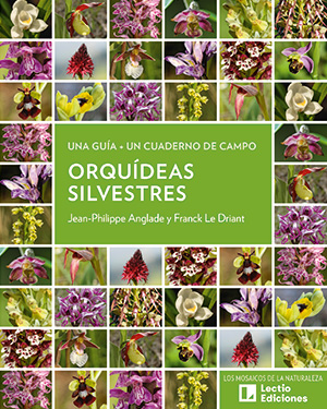 ORQUIDEAS SILVESTRES
