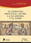 DERECHO PROCESAL, EL: ENTRE LA ACADEMIA Y EL FORO