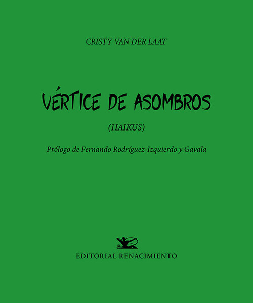 VERTICE DE ASOMBROS