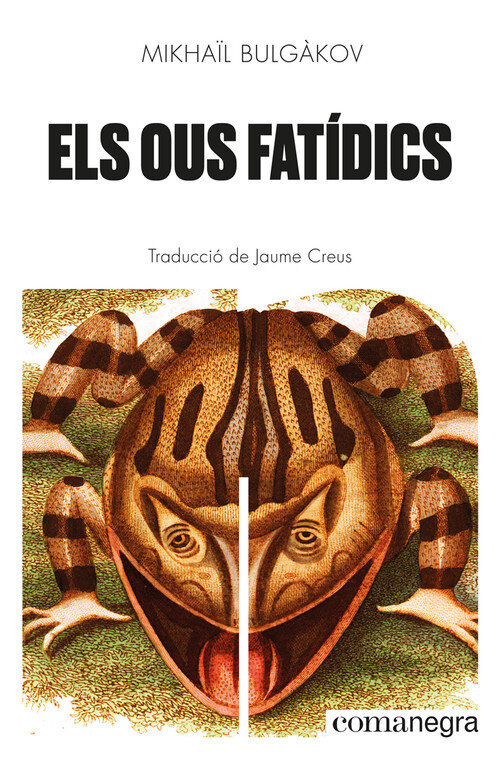 OUS FATIDICS, ELS