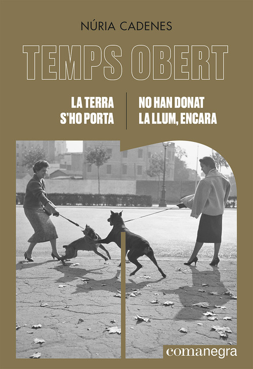 TERRA S'HO PORTA / NO HAN DONAT LA LLUM, ENCARA, LA