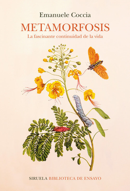 FILOSOFIA DE LA IMAGINACION
