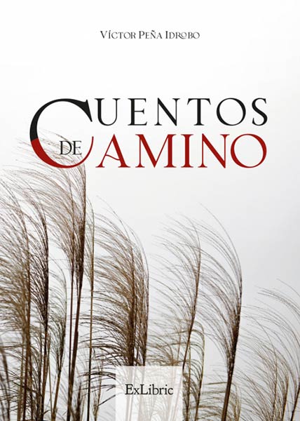 CUENTOS DE CAMINO
