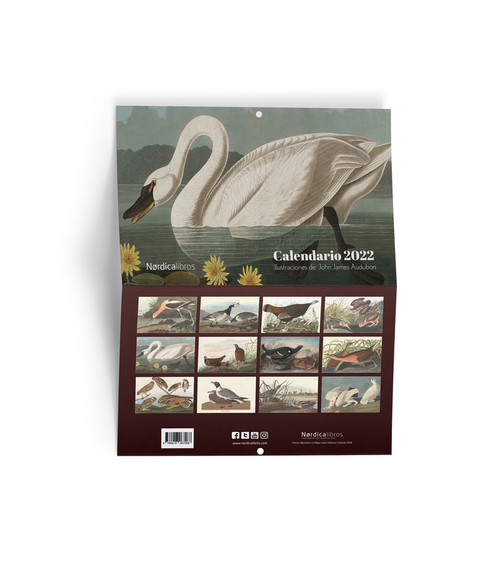 THE BIRDS OF AMERICA, FROM DRAWINGS MADE IN THE UNITED STATE