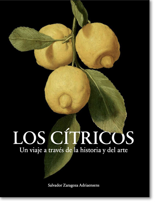 CITRICOS, LOS