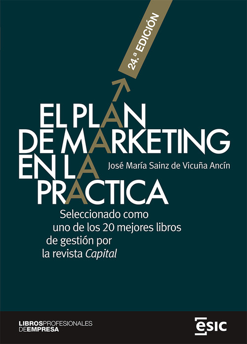 PLAN DE MARKETING EN LA PYME,EL
