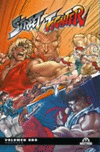 STREET FIGHTER VOL 1 (PORTADA ALTERNATIVA)