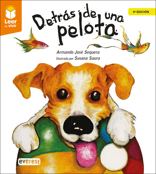 DETRAS DE UNA PELOTA