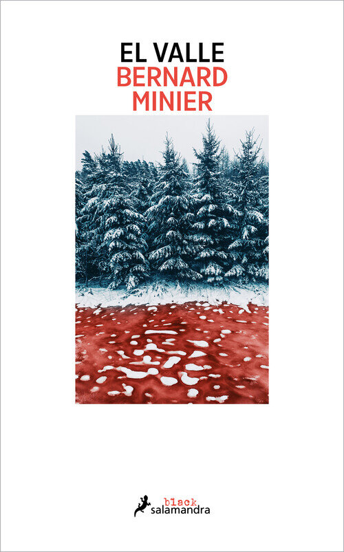 VALLE, EL (SERIE COMANDANTE SERVAZ 6)