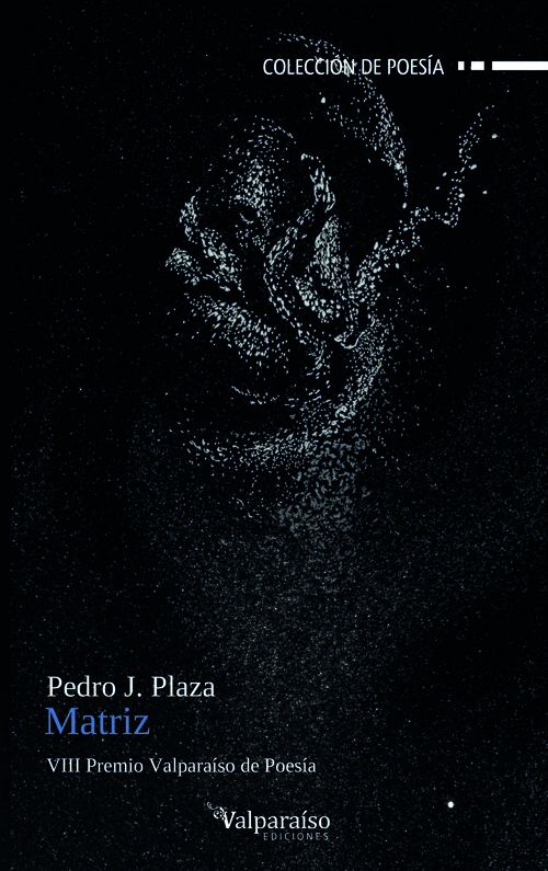 POETA EN VENECIA