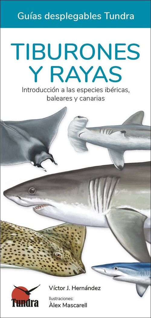 TIBURONES Y RAYAS - GUIAS DESPLEGABLES TUNDRA