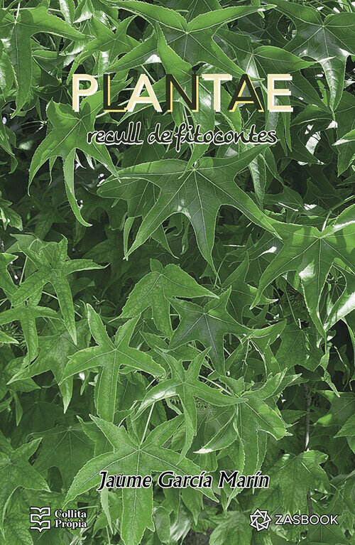 FORMULARIOS JUICIO EJECUT.Y VIA APREMIO