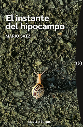 MAESTROS MUSICOS Y LA FLAUTA ENCANTADA, LOS