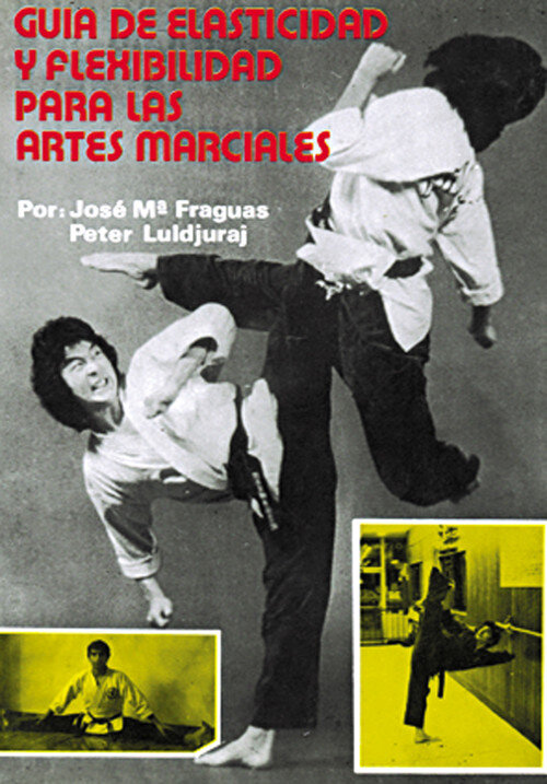 GRANDES MAESTROS DEL BUDO,LOS
