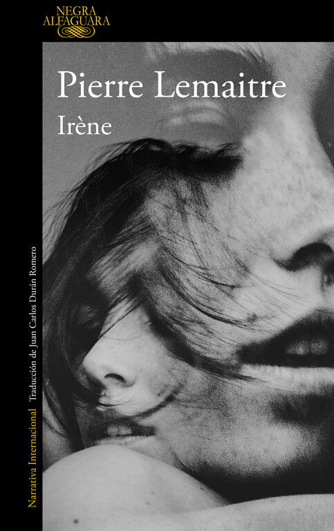 IRENE (UN CASO DEL COMANDANTE CAMILLE VERHOEVEN 1)
