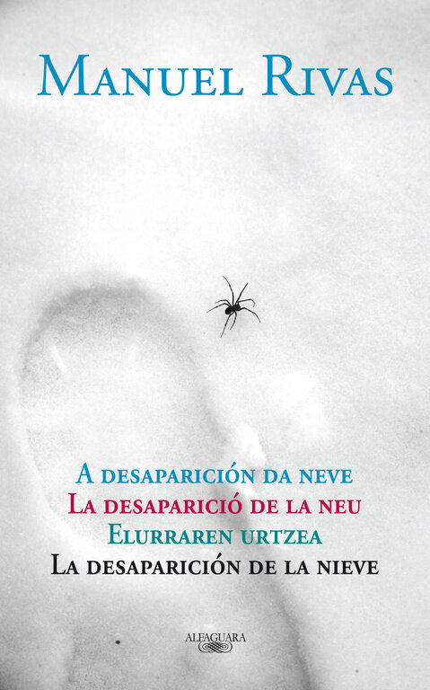 DESAPARICION DE LA NIEVE,LA