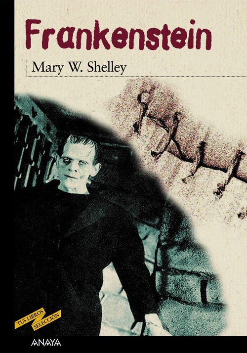 FRANKENSTEIN TUS LIBROS SELECCION