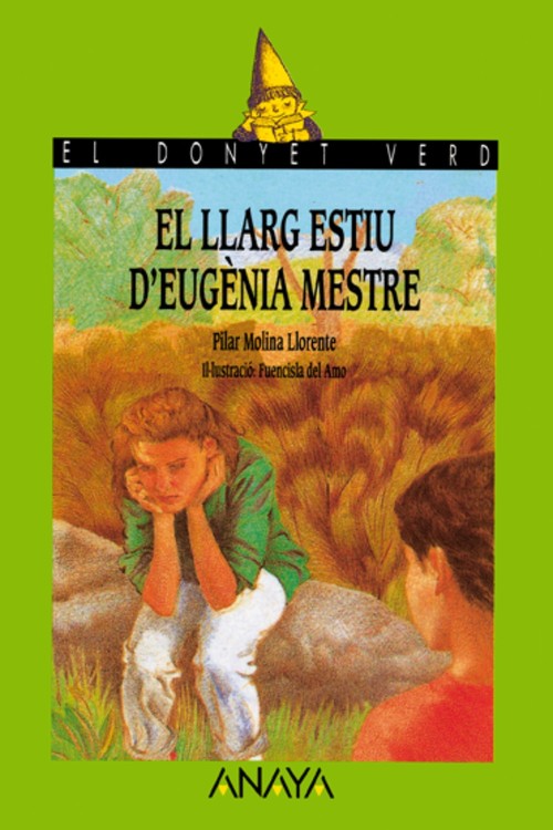 LLARG ESTIU D ' EUGENIA MESTRE,EL