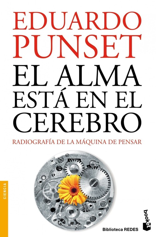 ALMA ESTA EN EL CEREBRO,EL